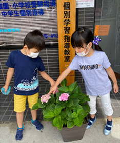 二人の子供が紫陽花の観察をしている様子